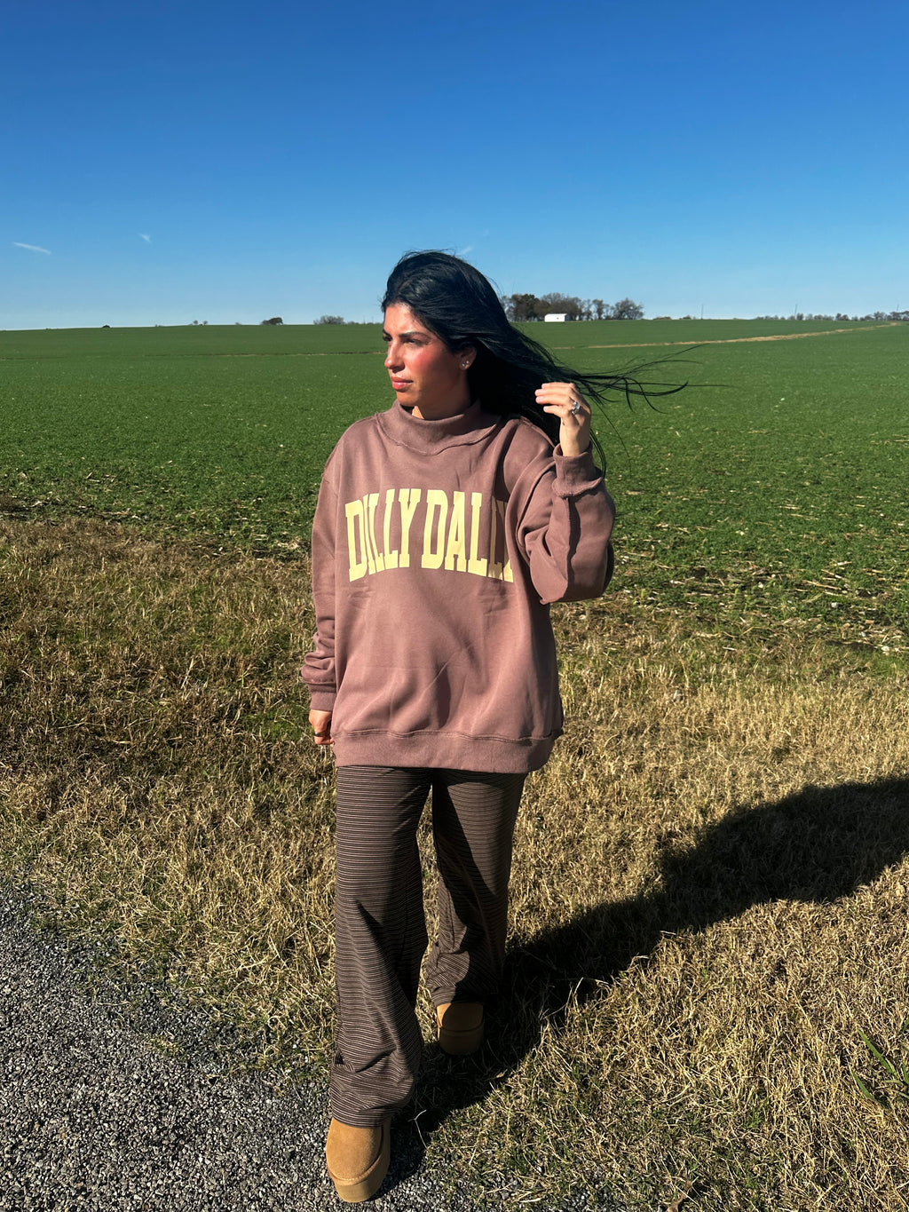 Dilly Dally Mockneck Sweatshirt (coffee)