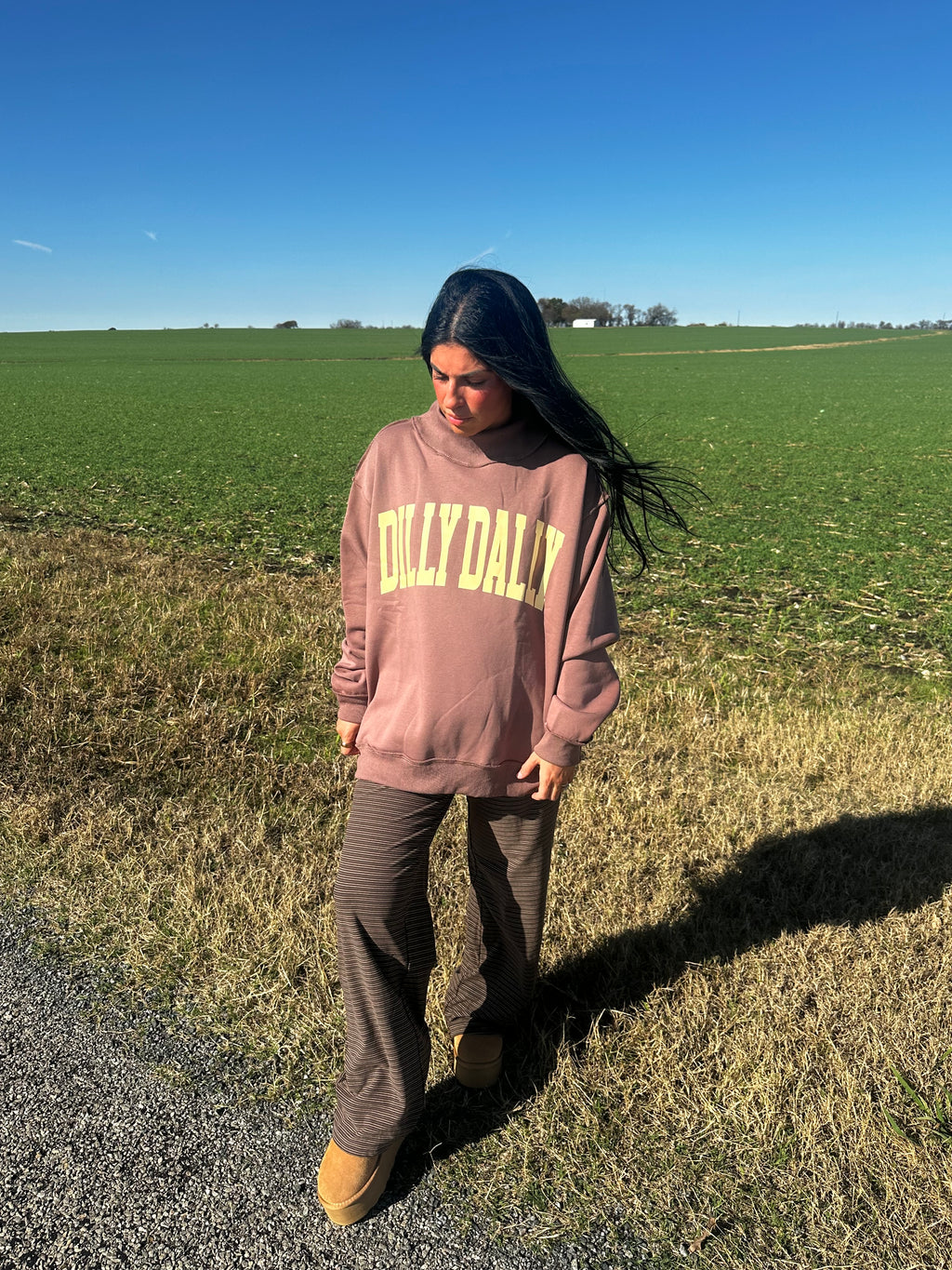 Dilly Dally Mockneck Sweatshirt (coffee)