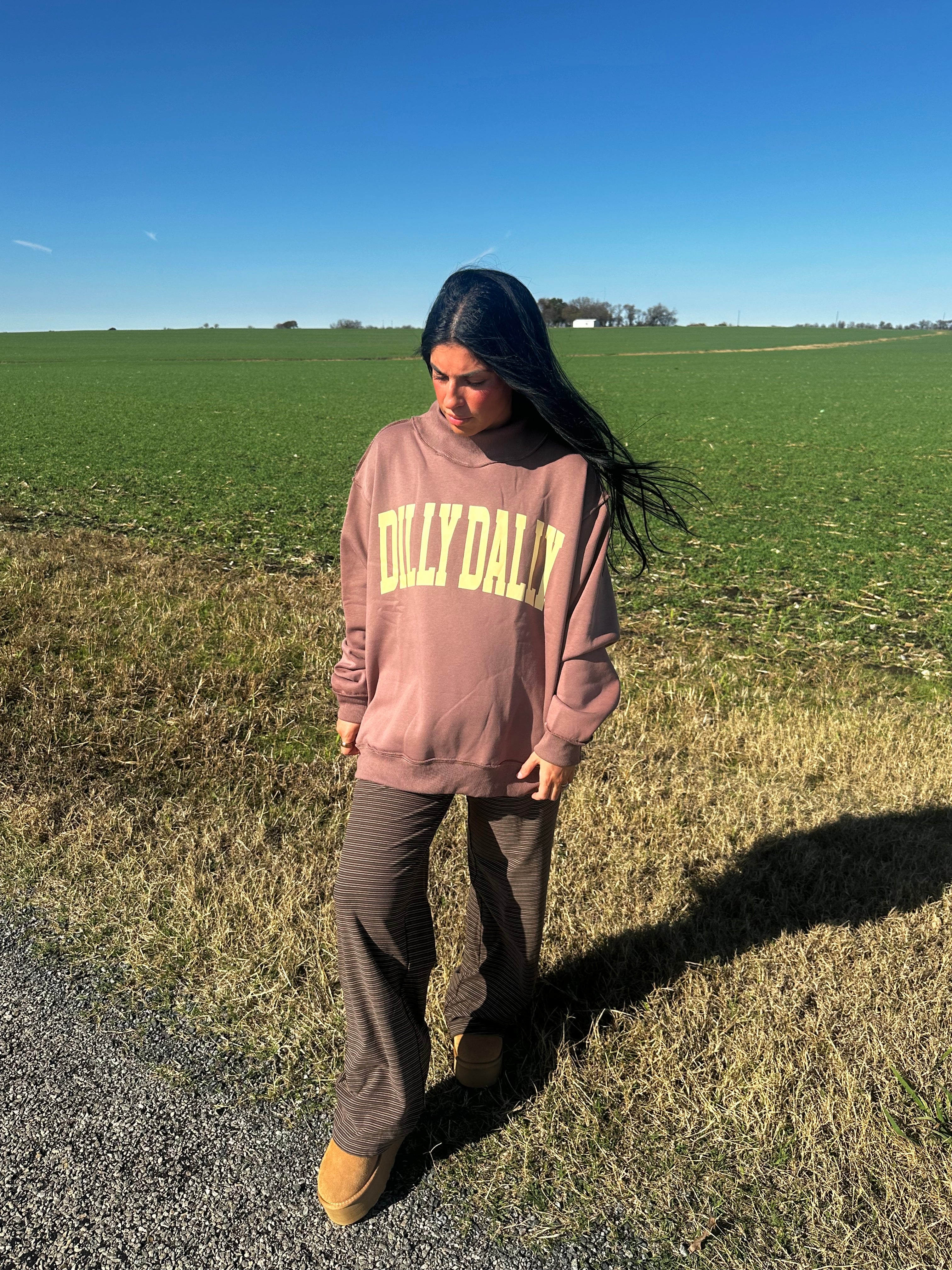 Dilly Dally Mockneck Sweatshirt (coffee)