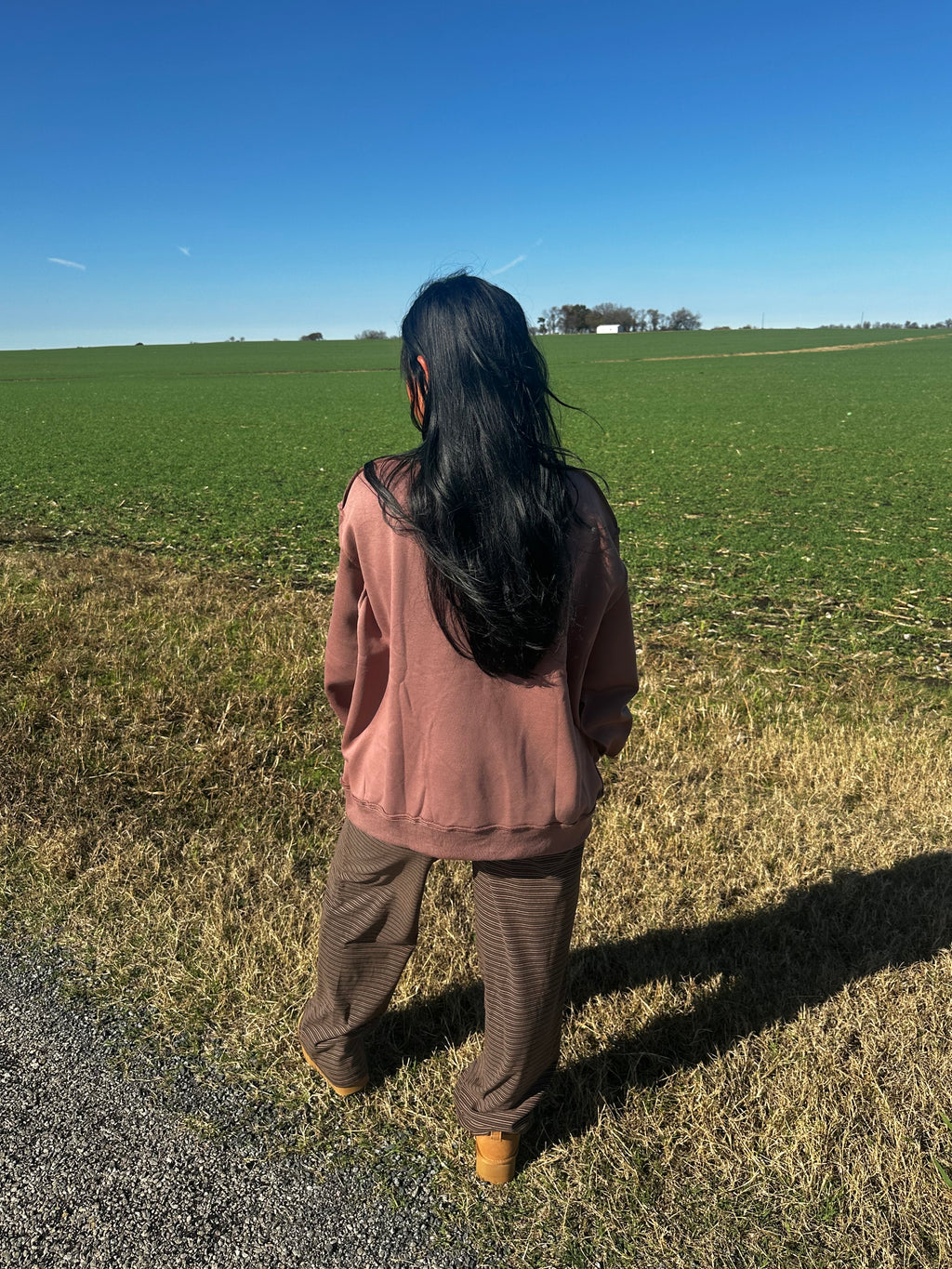 Dilly Dally Mockneck Sweatshirt (coffee)