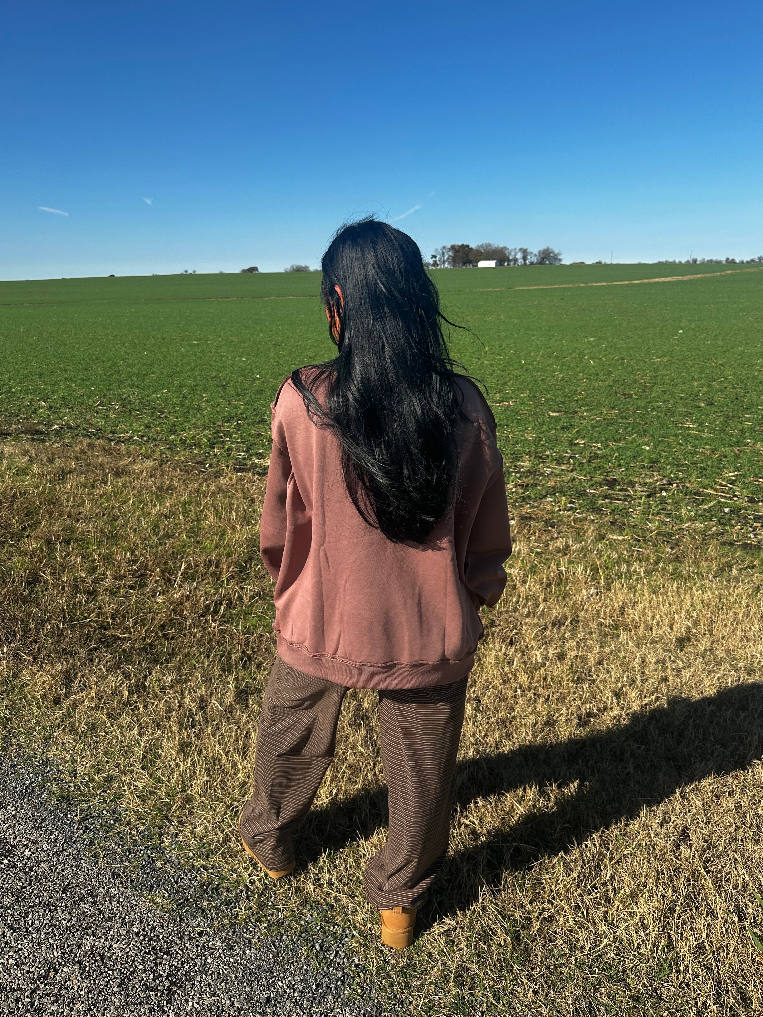 Dilly Dally Mockneck Sweatshirt (coffee)